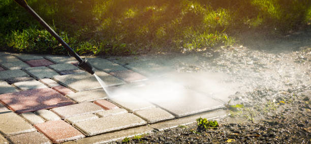 Best Solar Panel Cleaning  in Elroy, NC